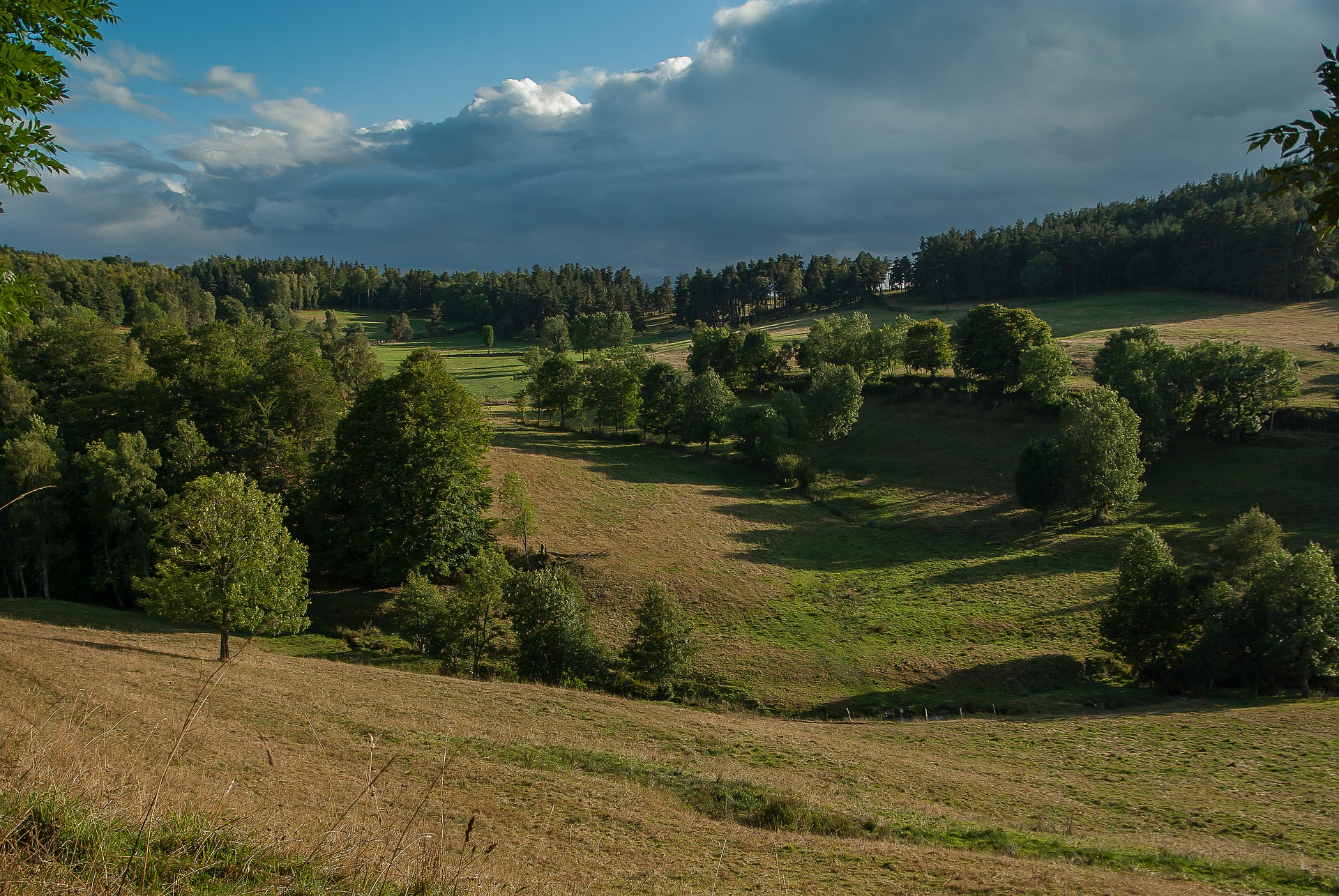 Lozère