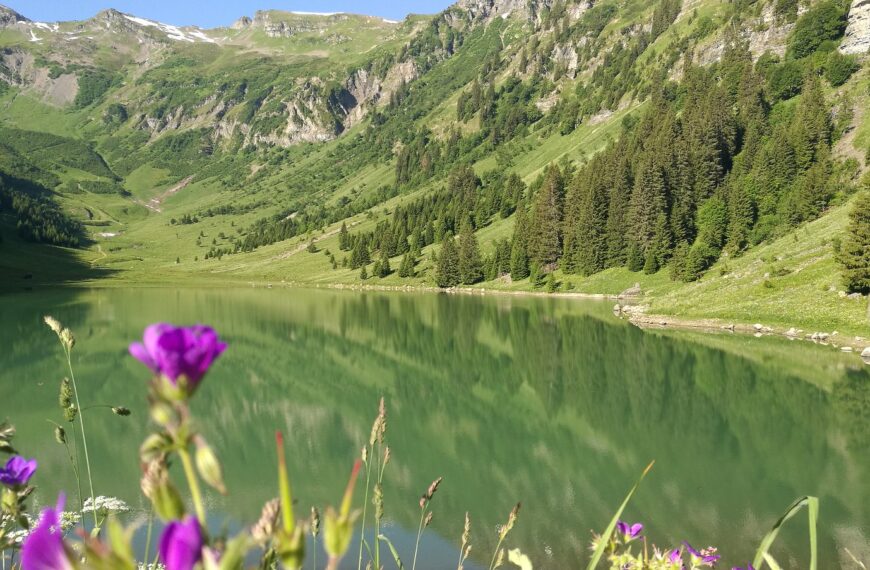 vacances dans le gers